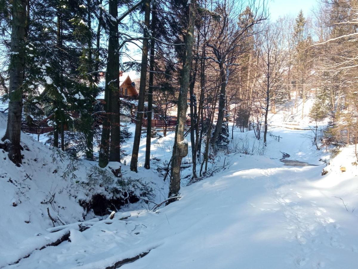 Appartamento Przystanek Lesna Targanice Esterno foto