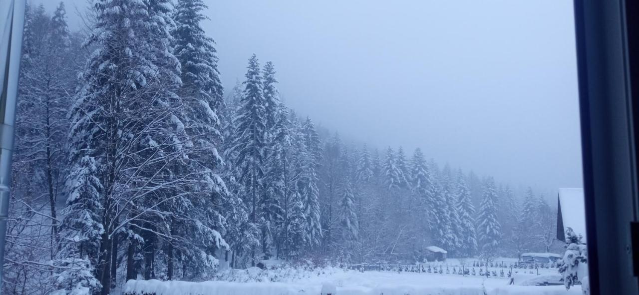 Appartamento Przystanek Lesna Targanice Esterno foto