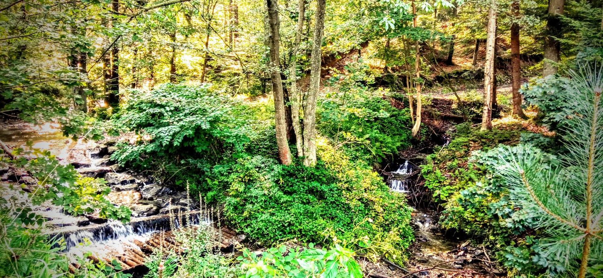 Appartamento Przystanek Lesna Targanice Esterno foto