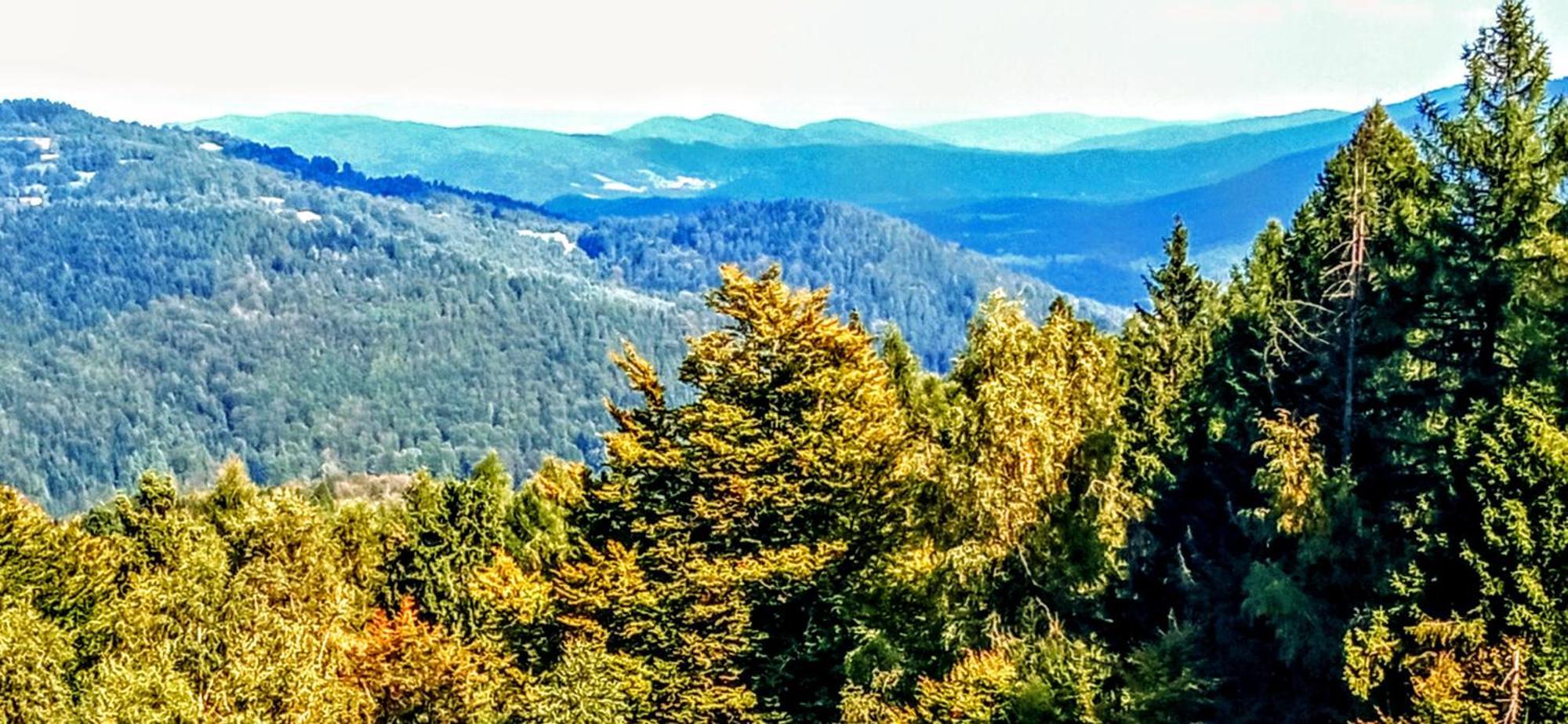 Appartamento Przystanek Lesna Targanice Esterno foto